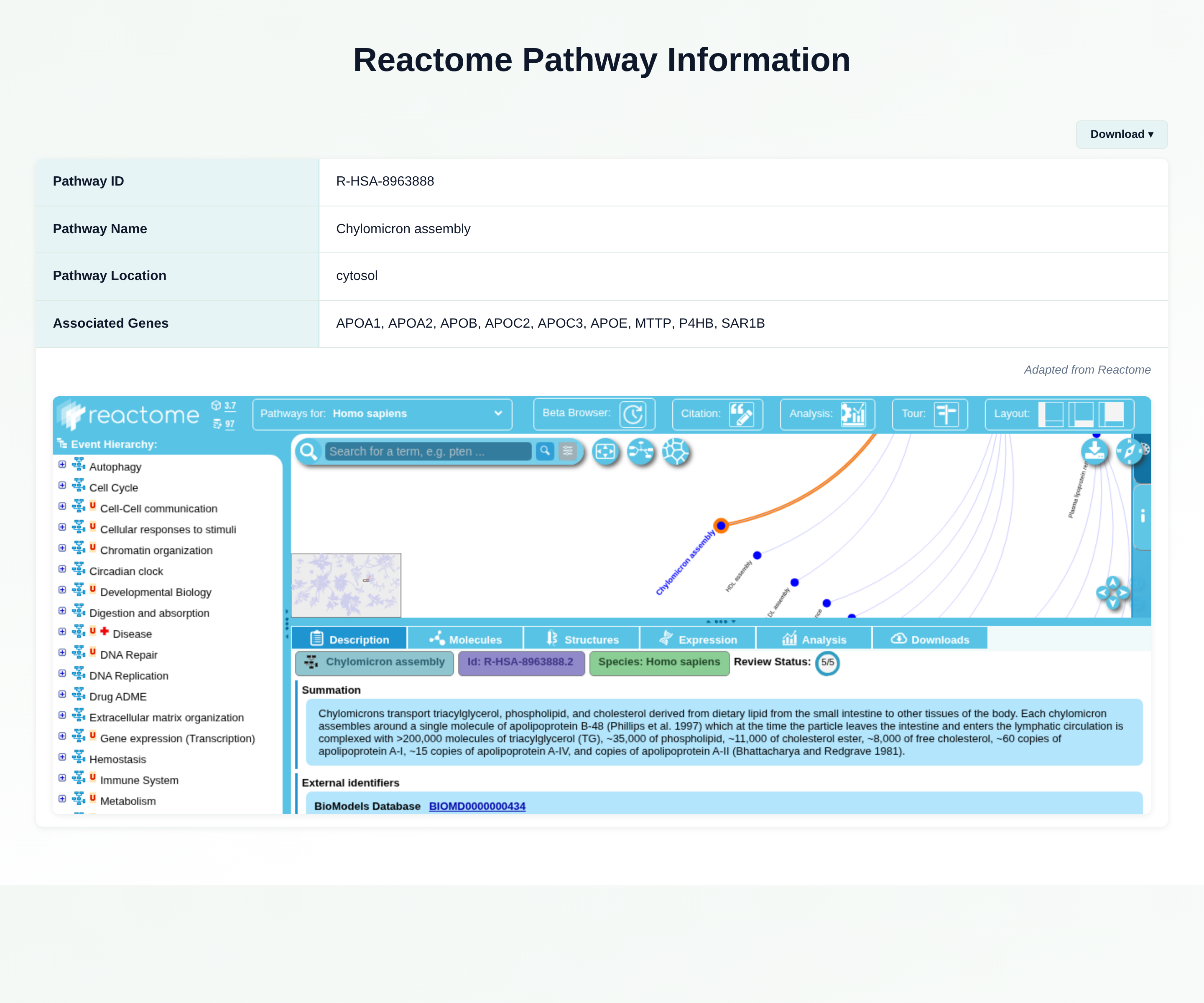 GeDiPNet Reactome pathway information page with embedded Reactome diagram