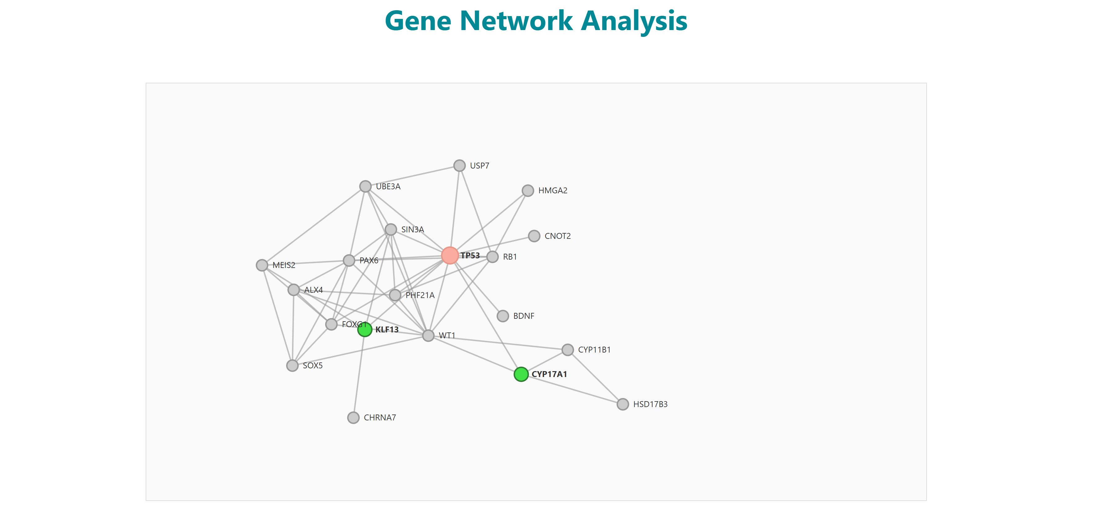 gene network