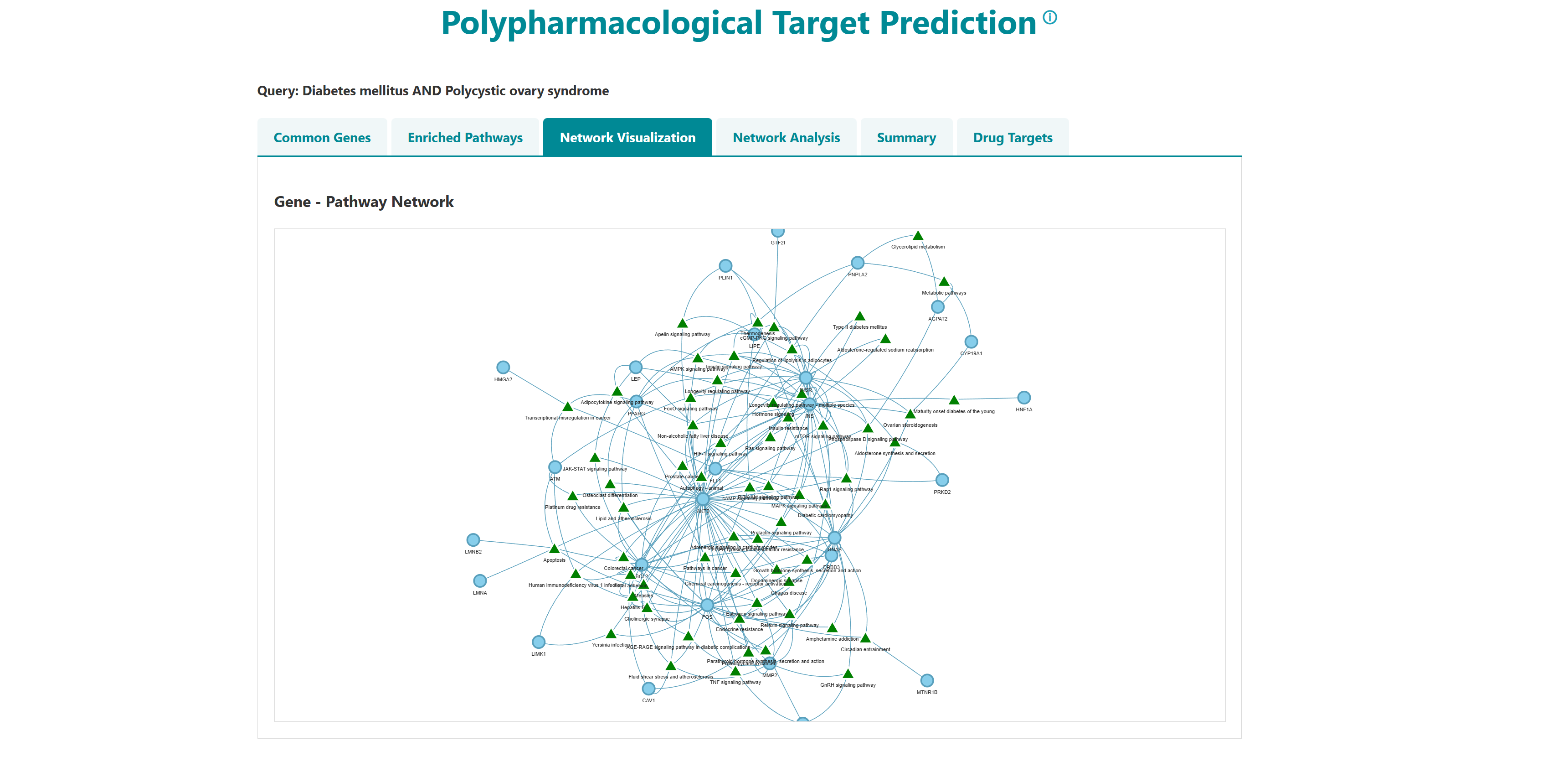 GeDiPNet polypharmacological target network visualization