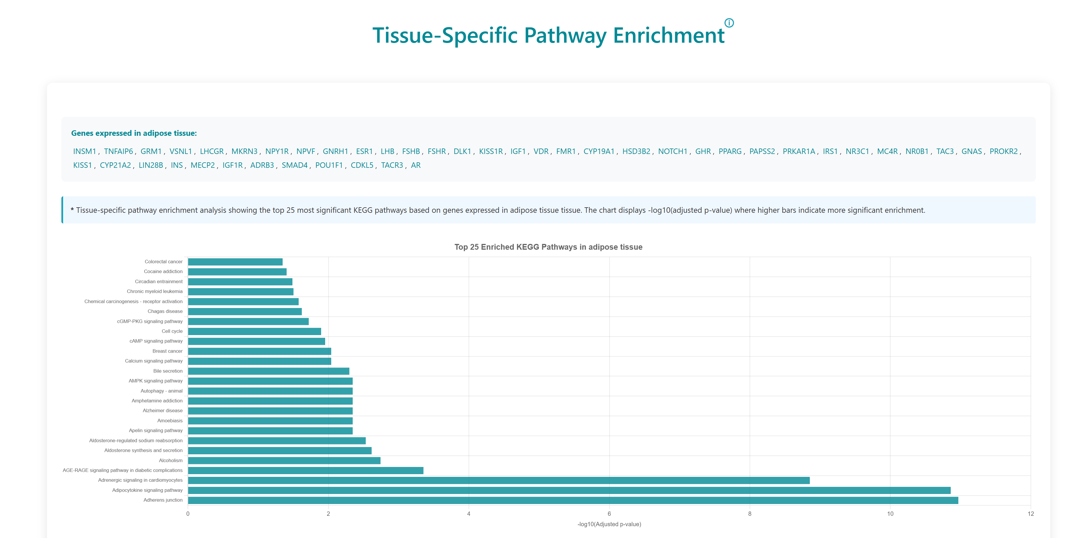 Tissue-specific pathway enrichment